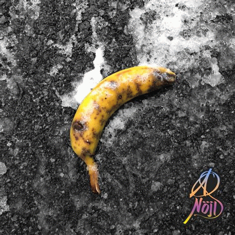 ANöjD (SWE) : Still Standing